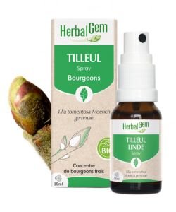 Linden (Tilia tomentosa) bud BIO, 15 ml